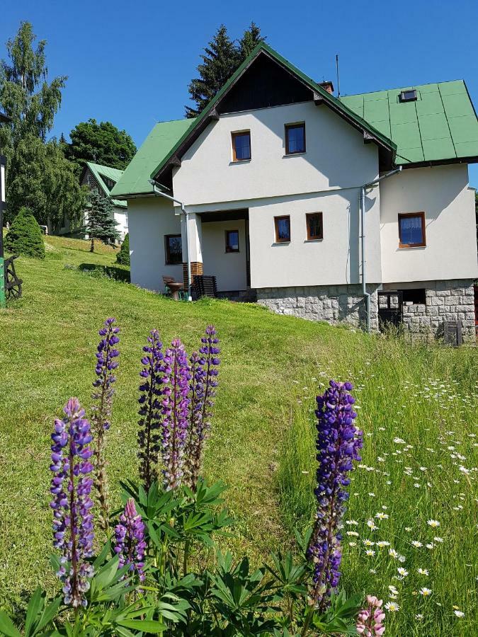 Апартаменты U Kobru Шпиндлерув-Млин Экстерьер фото